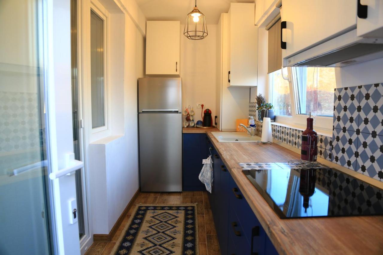 Dominic Apartment Unirii Square Timisoara Bagian luar foto
